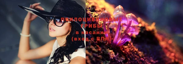 эйфоретик Нея