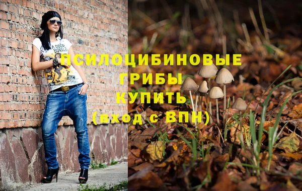 эйфоретик Нея