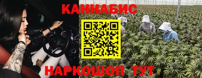 не бодяженный Камышлов