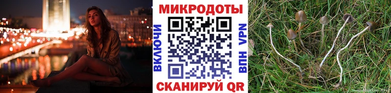 Псилоцибиновые грибы мицелий  Новотроицк 