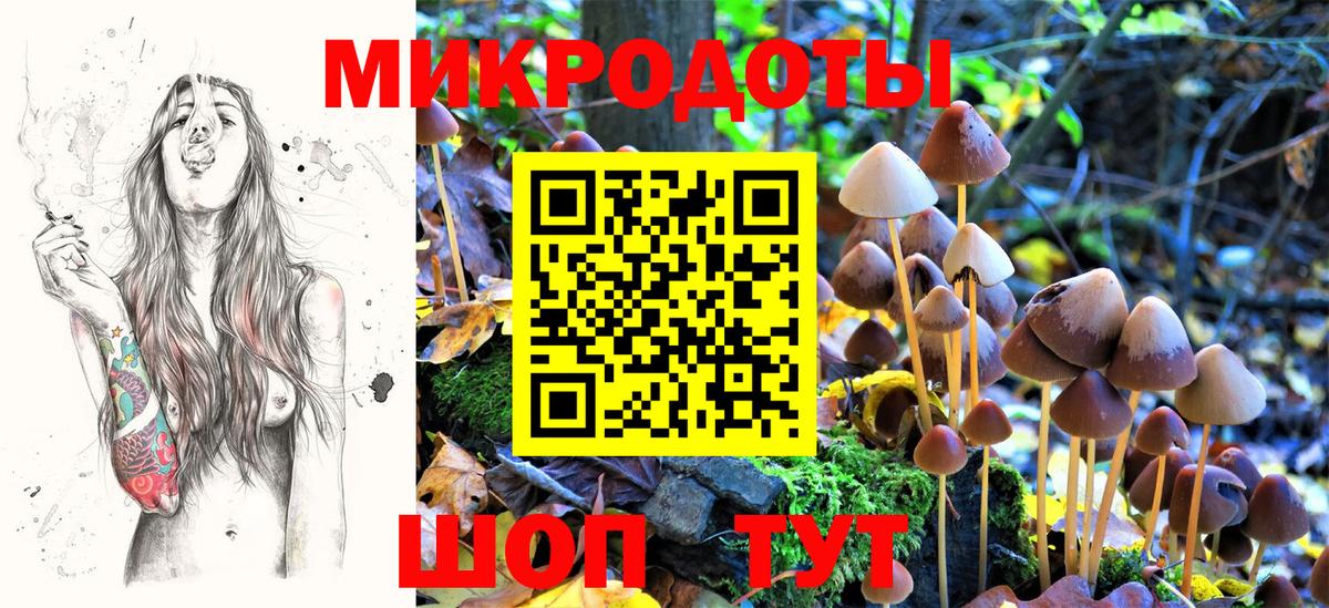 Псилоцибиновые грибы Psilocybine cubensis  Галлюциногенные грибы GOLDEN TEACHER  Новотроицк  Вход с VPN 